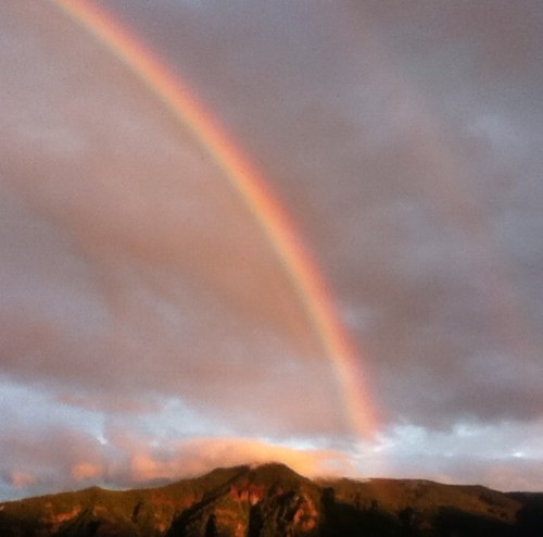 ecoretro's profile picture. 