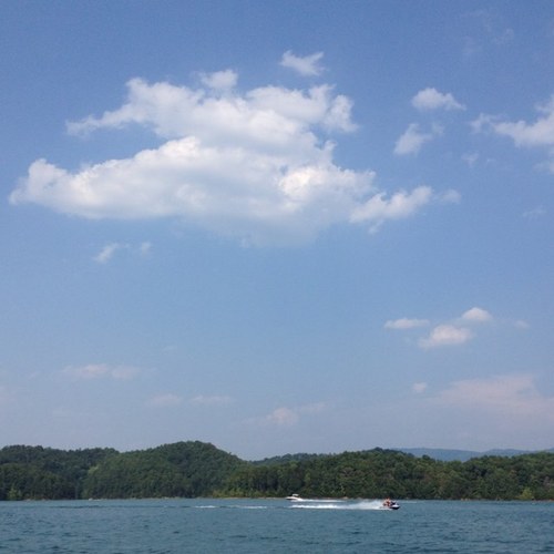 buttonhale's profile picture. 