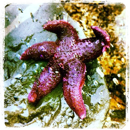 a_jenner1's profile picture. 