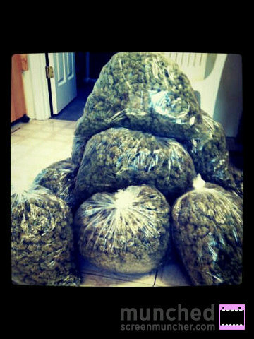Its a group for everyone that still buns the erbs. Lets get marajuana legalised! Lets see what the power of the social network can do! UK STAND UP #TeamBlazin