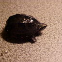 Derek Waite - @dwaite860 - Twitter