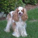 Sami Gray - @SamiRoseDynasty - Twitter