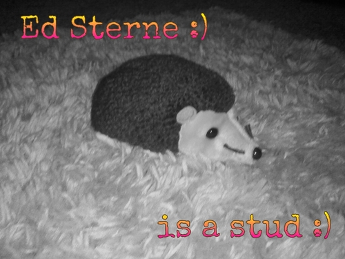 Im Ed Sterne!! :) i will be famous one day like my role model Domo! but i need you guys to make that happen :) Follow me :) HEDGEHOG not a porcipine..