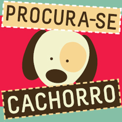 Perdeu seu cão? Encontrou um na rua? O Procura-se Cachorro é o ponto de encontro! Envie foto e infos completas por inbox no INSTAGRAM @procuracachorro