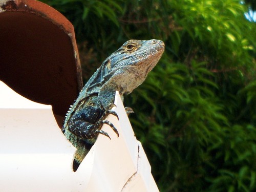 Tour Operators, Away We Go-Costa Rica Tours
http://t.co/fQn16MB5P9
https://t.co/wWxUiGgqir
http://t.co/svywRi68SC