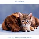 mariza sanchez s. - @sajava1987 - Twitter