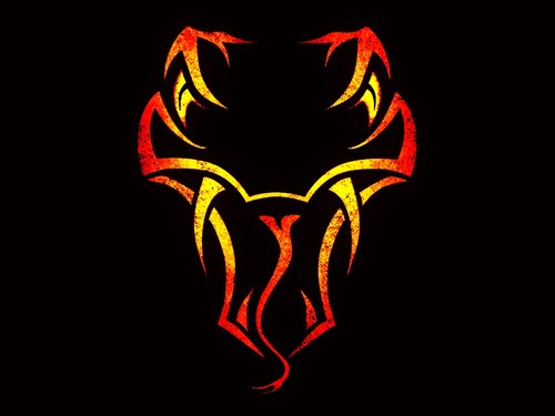 #WWE for life!   An Ortonite!