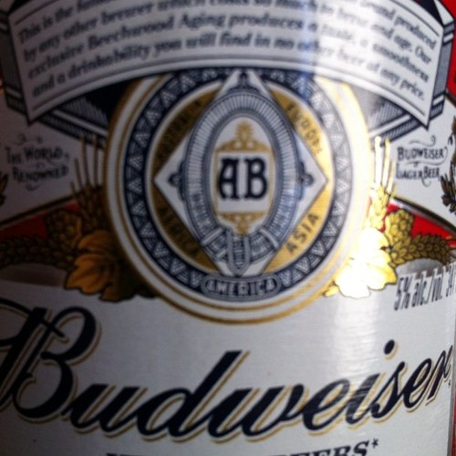 DavisPecchia's profile picture. 