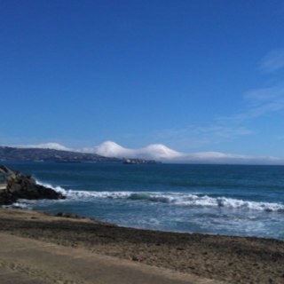 paolauribe2712's profile picture. 