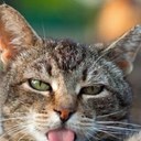 David Bruneau - @david_bruneau - Twitter