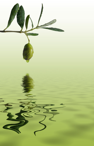 Hi Everyone, Let's gather, get to know each other and eat olive oil! #oliveoil #EVOO #extravirginoliveoil #oliveoilrecipes