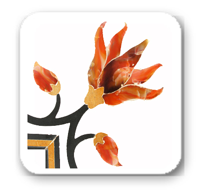 The independent source of information you can trust on your use of quality herbal medicine options for everyday conditions