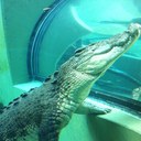 drew magee - @drewmagee1 - Twitter