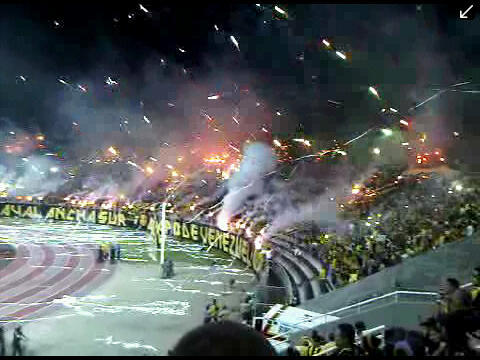 100% AURINEGRO