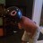W. McDonald (@pledged06) 's Twitter Profile