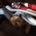 Tonya Daugherty - @Babytonya76 - Twitter