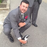 Patrick Carroll (@carrollpatrick) 's Twitter Profile