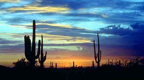 AZLowEnergy's profile picture. 