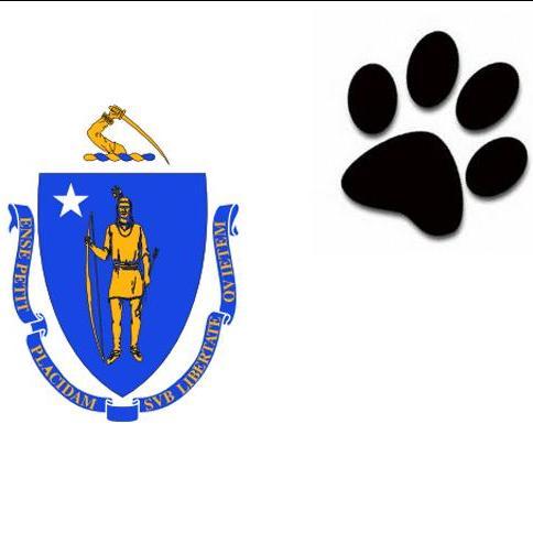 Twitter page for furries of Massachusetts! Get updates on Massachusetts meets as well as some from other states!