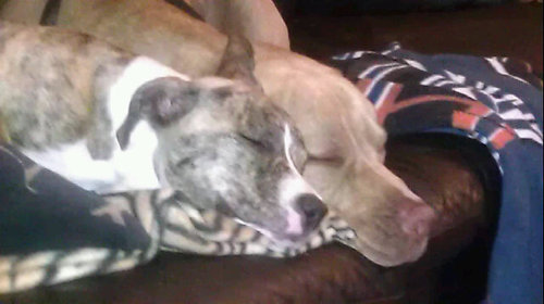 ROCKYC13's profile picture. 