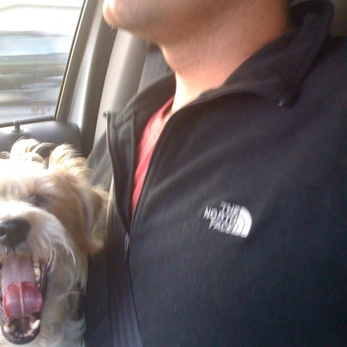 leporen's profile picture. 