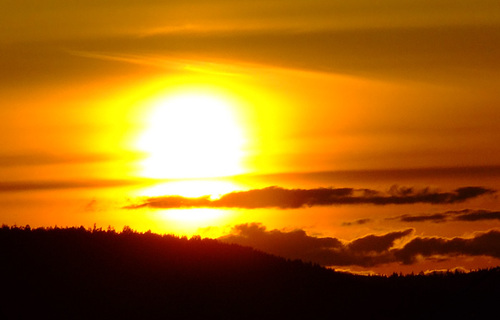 loveproblems82's profile picture. yolo