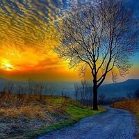 Irish Eyes (@irishtradmusic) 's Twitter Profile