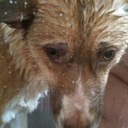 Frances McNally - @McNallyFrances - Twitter