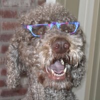 grayson badgley (@gmbadge) 's Twitter Profile