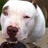 fredogotpits's profile image