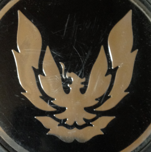 saori_79transam's profile picture. アメ車好き。TRANS AM歴15年。愛犬はイタグレ☆TIGHT。
