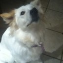 Paige hester - @HesterPaige - Twitter