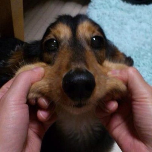 kayoyu111130's profile picture. よくわからんです…