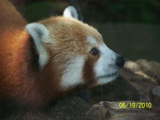 RolandKausen's profile picture. peripathetic mediomesomisanthropomorph; cereal monogamystic; quasimodoneoantidisestablishmentarianist; monoclonal antibody; feral colonist