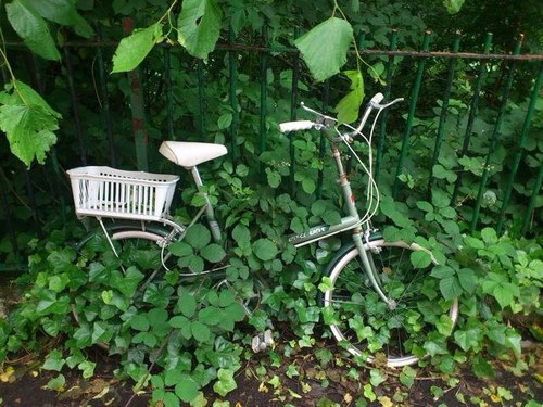 AlickFraser's profile picture. 