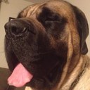 Jay Carnes - @jaycarnes508 - Twitter