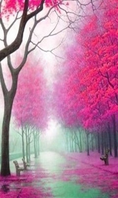 hambabdun's profile picture. 