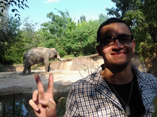Carhassle Profile Picture
