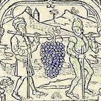 Wine Wizards (@winewizards) 's Twitter Profile