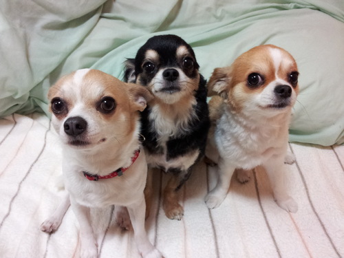 myplace1025's profile picture. 