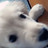 tengteng0102's profile image