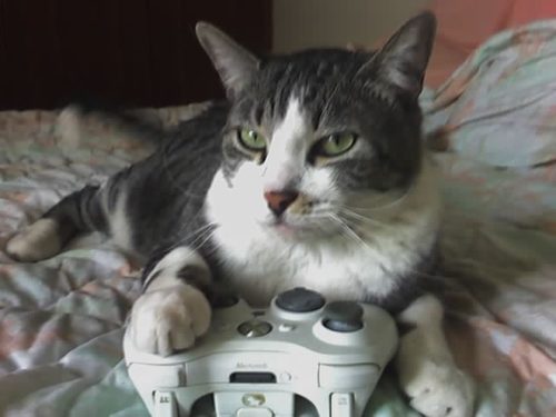 soyleyenda975's profile picture. 