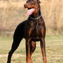 patrick boss - @PartickBoss - Twitter