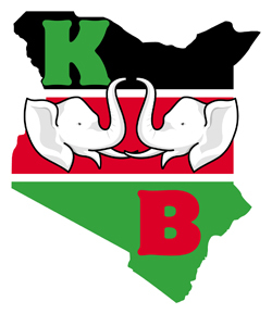 KenyanBusiness's profile picture. Equiping the Kenyan Business Community with the tools and support needed to grow a satisfying yet profitable venture through innovation/creativity.