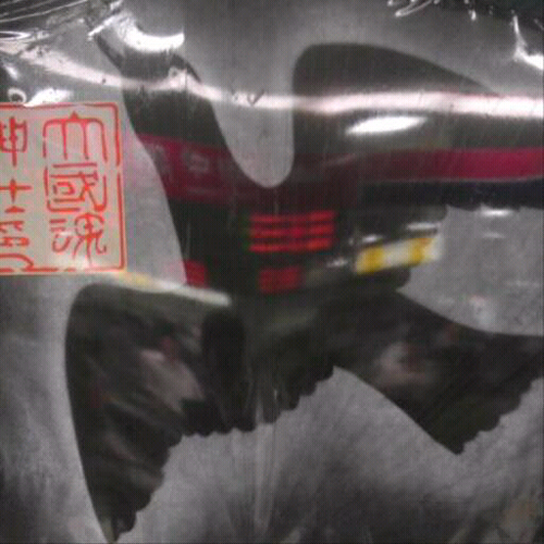 ysk5181's profile picture. 