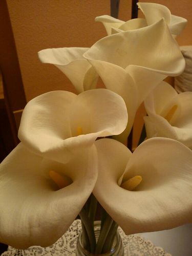 esthwitter's profile picture. 