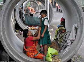 earlyspringed's profile picture. 