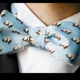 CottongentTn's profile picture. I love sweet southern belles, my fraternity, farming, and the south