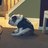 wallerm's profile image