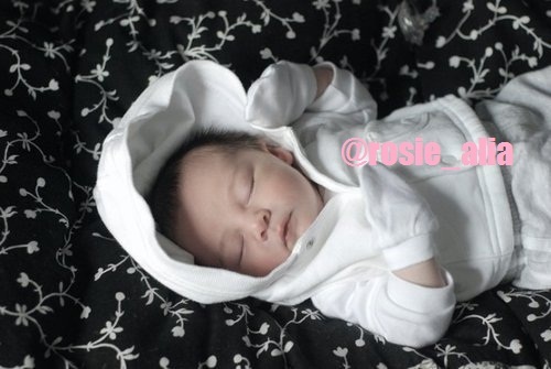 *is shy name is rosie alia is a lil drama queen is just a hybird baby who seems human once again i have no family *
